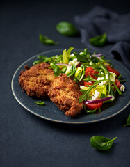 Crispy chicken breast with salad on a plate. Copy space