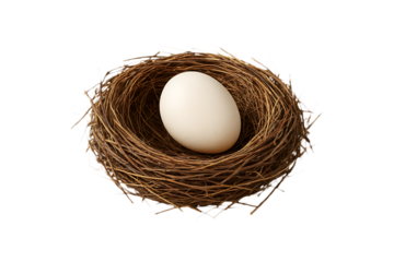 A single white egg rests securely within a cozy bird s nest on transparent background