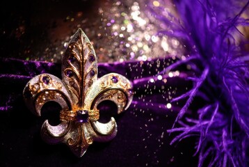 Detailed view of ornate fleur-de-lis brooch pinned to a velvet costume