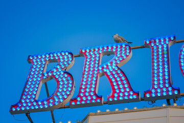Neon illuminated letters mounted on a seaside pier structure against a clear blue evening sky.