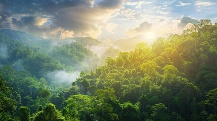 Lush Green Canopy: An enchanting aerial view of a vibrant rainforest, where a symphony of green hues merges with the sunlight, revealing nature's untamed artistry. 