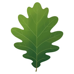 Green Oak Leaf green leaf isolated leaf isolated on a transparent background