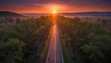 Scenic aerial view of an empty asphalt road through a misty green forest at sunrise