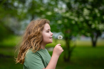 Fototapeta premium Child blowing dandelion. Innocence childhood joy. Child blowing dandelion. Eco environmental nature. Child blowing dandelion. Garden meadow background. Child blowing dandelion.