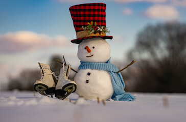 Snowman with hat and scarf. Winter snow man in open field. Cute snowman shining in sunlight. Happy...
