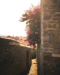 Fototapete Rund Mediterranes Europa Historic Stone Alley in Piran Old Town, Slovenia  © Horváth Botond