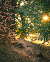 Fototapete bei efototapeten.de bestellen   