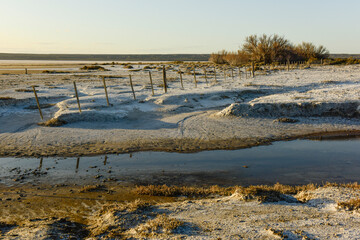 Saline landscape in Peninsula Valdes, Chubut Province, Patagonia Argentina.