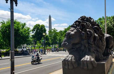 Bronze lion statue in Washington DC. Lion sculpture with the Washington Monument. Historic Washington monument. Classic bronze lion statue near a Washington DC. Capital architecture and history. © Volodymyr