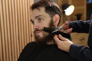 Barber trimming man's beard in barbershop, closeup