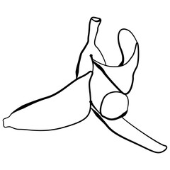 Hand drawn banana peel outline illustration with artistic uneven contour and organic linework. Minimal food sketch for icons, logos, coloring pages, infographics and modern graphic design.