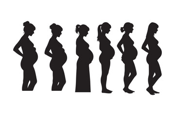 Fototapeta premium Silhouette Collection of Pregnant Women in Profile Poses