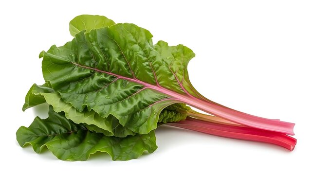 Fresh swiss chard on white background