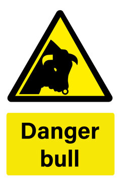 Danger bull