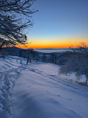Fototapeta premium Narrow path winds through freshly fallen snow past snowy trees towards a glowing winter sunset. A peaceful rural evening, full of fresh air and quiet beauty. Winter wonderland in the countryside.