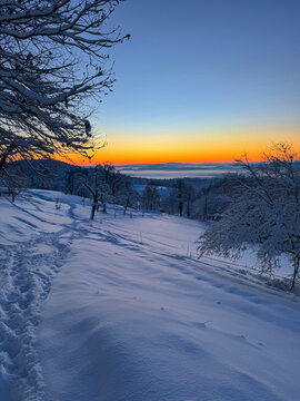 Narrow path winds through freshly fallen snow past snowy trees towards a glowing winter sunset. A peaceful rural evening, full of fresh air and quiet beauty. Winter wonderland in the countryside.