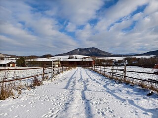 farm in winter