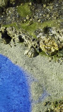 bright blue tide pool hugging shoreline rocks, vivid color contrast with pale gravel and green lichen, energetic coastal scene with crisp texture and summer