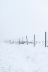 Concrete Posts in Snow Covered Field The Concept of Winter Boundary