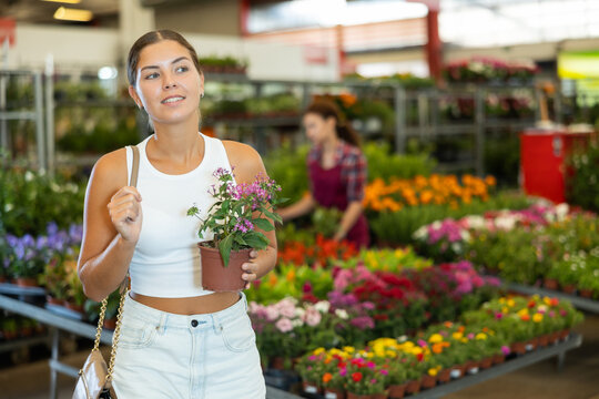Young woman buyer chooses pentas in pot in flower shop