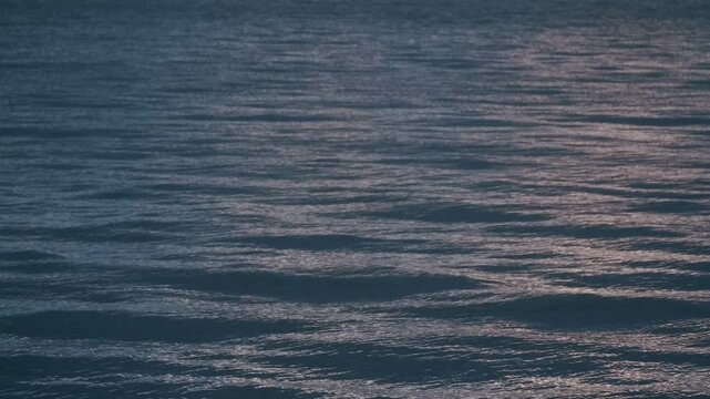 冬の湖の水面
