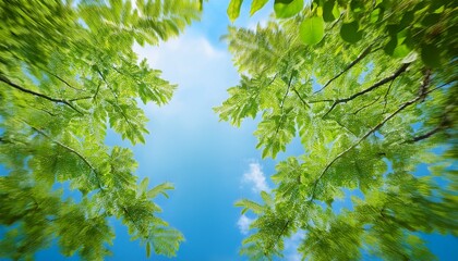 Tree Branches With Green Leaves Reaching Across A Blue Sky In Bright Daylight