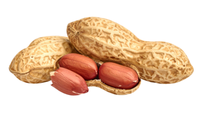 Close-up studio shot of peanuts in shells. Three red-skinned nuts are visible alongside several shells