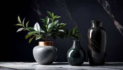 A Dark And Moody Still Life Composition Featuring A Marble Surface With A Potted Plant And Decorative Vases Evoking A Sense Of Minimalist Elegance And Natural Beauty