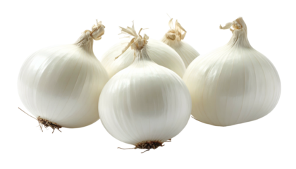 Four round, white onions, isolated on black background, showcasing shiny, smooth skins and dried roots. The bulbs are close together