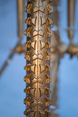 Gold painted bicycle tire tread close up. The Concept of Luxury.