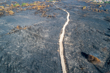 Winding dirt road through a burnt forest highlighting the concept of access to disaster.
