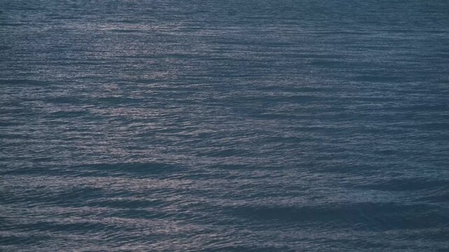 冬の湖の水面
