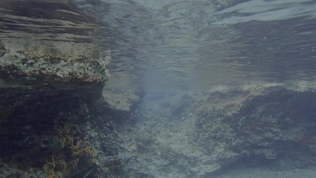 Underwater POV of a snorkeler exploring an inlet of a coral reef