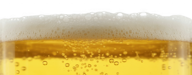 Close-up of beer with foam and bubbles drink isolated on a transparent background