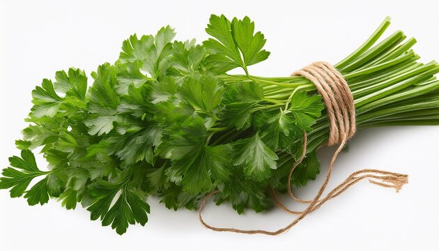 Bundle Of Curly Parsley Tied With Twine Transparent Background