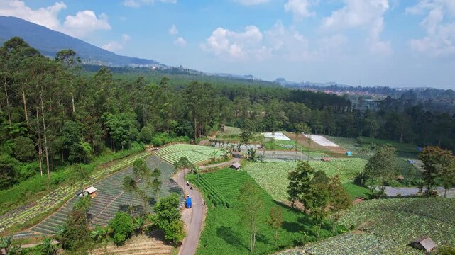 Aerial drone footage of a main farmer road, the bottom of Ciremai volcano mountain, in a agricultural area, with a forest behind, a trike motorbike, in Majalengka regency, Java island, Indonesia