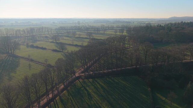 Aerial view of rural landscape with leafless trees, intersecting dirt roads, and patchwork fields bathed in soft winter light, forming geometric patterns and long shadows across the hazy countryside.