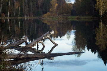 lake with wooded shores on an October day