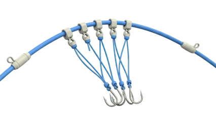 Fishing Rig with Multiple Hooks