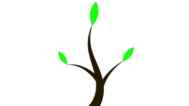 Growing tree sapling animation. Process of plant growth from stem to green leaves on white background.