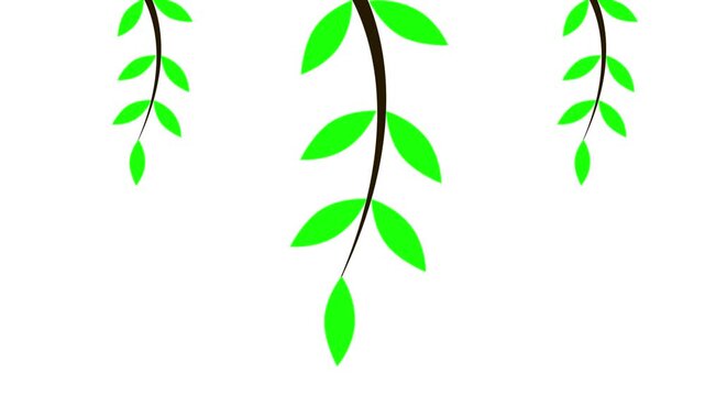 Hanging green vines animation. Swaying leaves and branches from top border on white background.