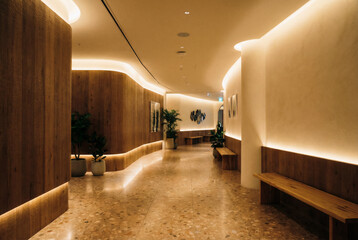 Premium Lobby with Curved Lighting