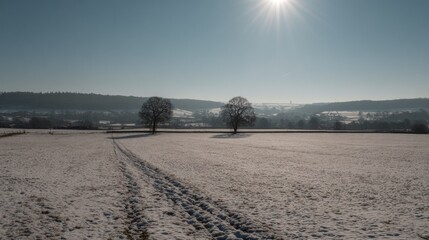 Bright winter sunlight illuminates a snow-dusted field with bare trees overlooking a distant settlement.