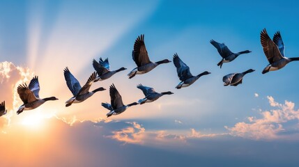 Numerous waterfowls fly in formation across a bright sky during sunrise or sunset.