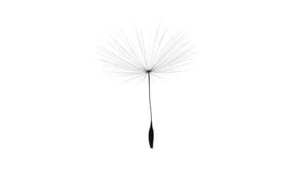A delicate dandelion seed floating gracefully. The seed embodies lightness and the potential for new beginnings