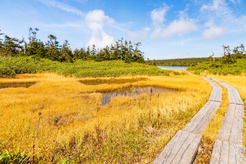 Obraz premium 日本の風景・秋 日本百名山 紅葉の八幡平