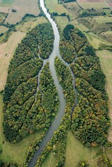 Aerial view of a serene river winding through a lush forest surrounded by fields