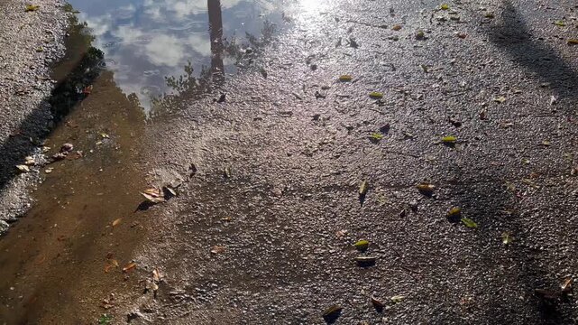 Puddle on Asphalt After Rain with Sky Reflection and Copy Space