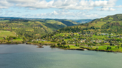Fototapeta premium Spring Wild Flowers Blooming at Columbia River Gorge, Rowena Crest Viewpoint & Tom McCall Point Trail, Oregon