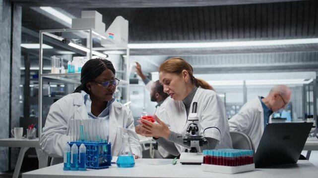 Team of laboratory researchers evaluating pharmaceutical compound in petri dish. Female experts in lab brainstorming new drug solutions while inspecting cell culture growth, camera A